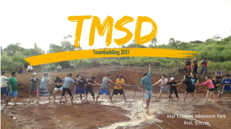 TMSD (1)